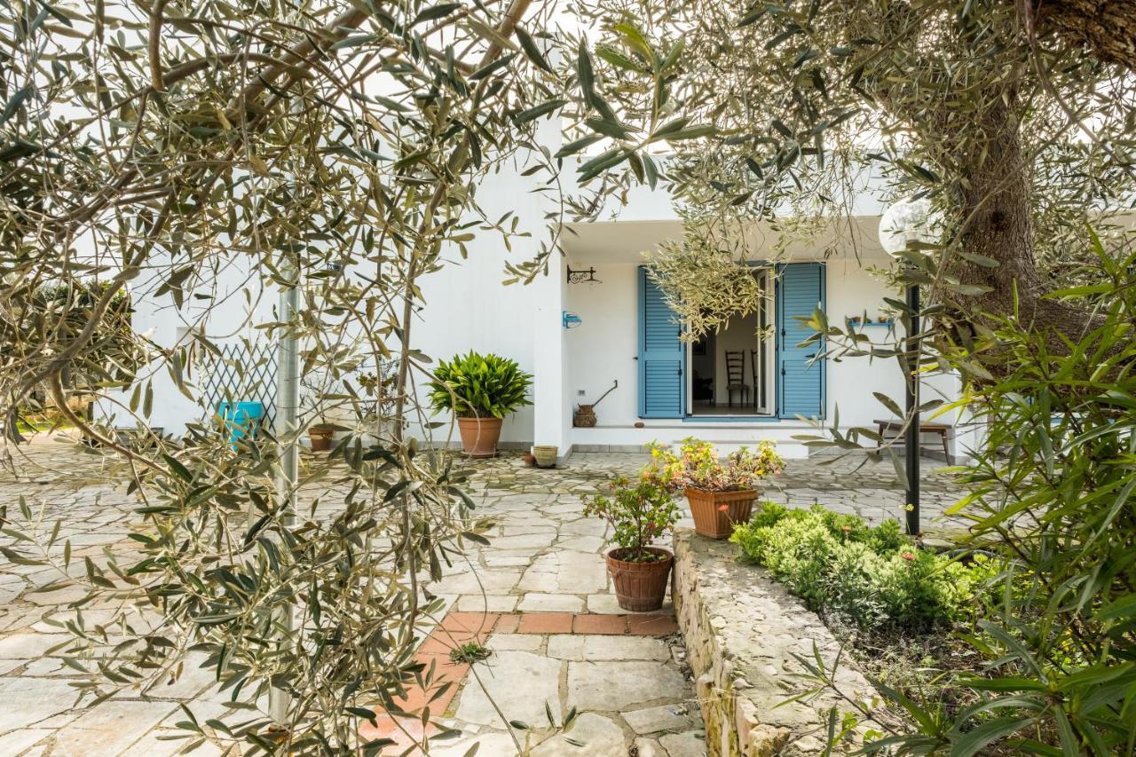 Bed and Breakfast Microborgopasca Sannicola Zewnętrze zdjęcie